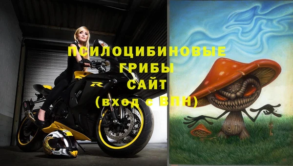 альфа пвп Верхнеуральск