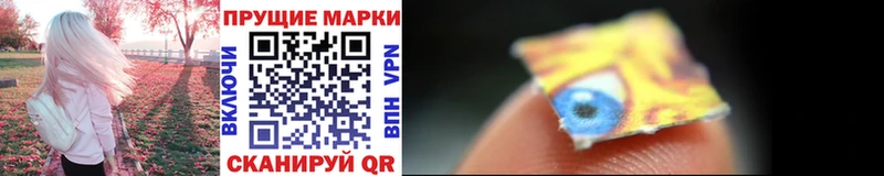 KRAKEN   Волхов  Марки 25I-NBOMe 1,5мг 