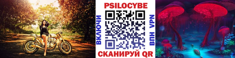 Псилоцибиновые грибы мицелий  Волхов 